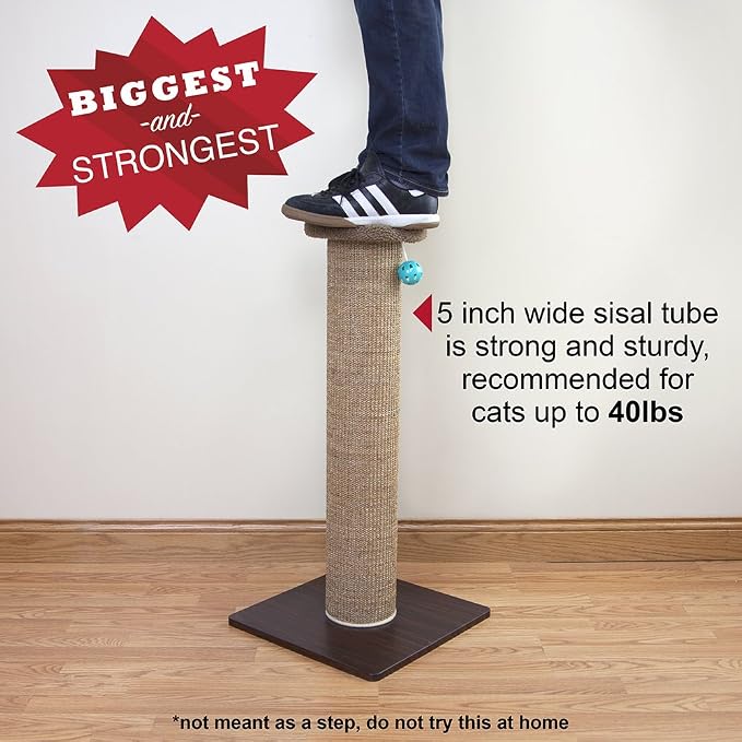 Kitty City Tall Sisal Cat Scratching Post, 32” Durable Scratcher with Sturdy Base & Hanging Jingle Toy, Easy Assembly, Furniture Protection for Indoor Cats - Brown