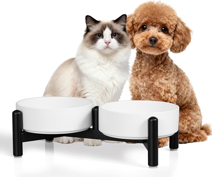 Raised Ceramic Dog Bowl Set - Elevated Double Dishes with Stainless Steel Stand - Food and Water Bowls for Small Dogs and Indoor Cats - Each Holds 2.1 Cups (14 fl oz) - White