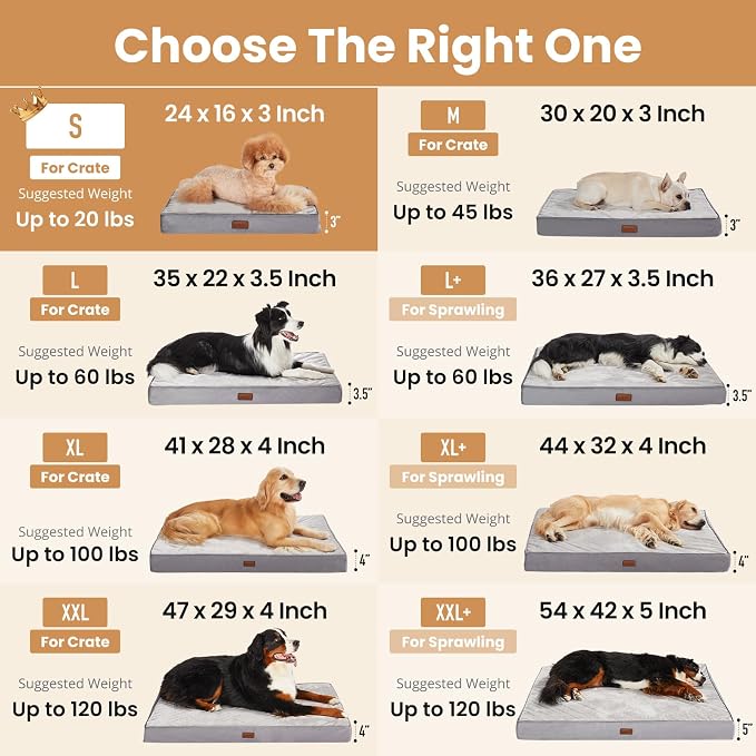 OhGeni Orthopedic Waterproof Dog Bed for Small Dogs, Machine-Washable Removable Cover in Easy-Clean Fabric, Reversible Memory Foam & Easy-Carry Handle, Suitable for Crate, 24 inch (Gray)