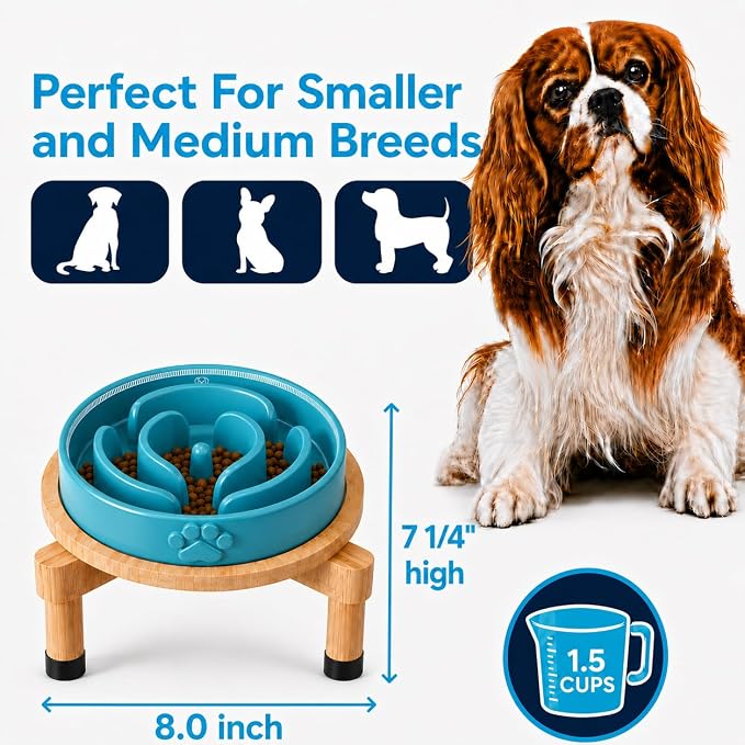 Slow Feeder Dog Bowls – Elevated Dog Bowl Slow Feeder with Bamboo Stand– Microwaveable Dog Slow Feeder for Small and Medium Dogs – Lead and BPA-Free Ceramic Pet Bowl – Pet Feeder for Fast Eaters