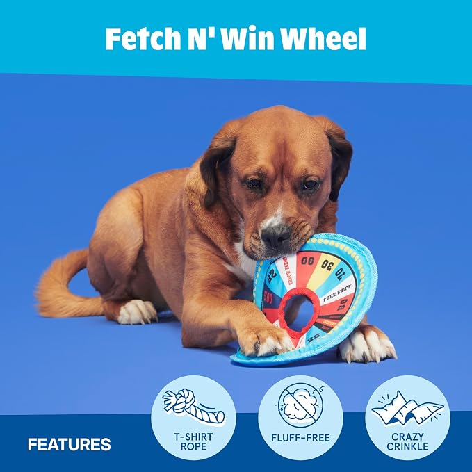 Barkbox Fetch N' Win Wheel Dog Toy | Fluff-Free Crinkle Disc with T-Shirt Rope & Reinforced Woven Binding | Fetch & Tug Toy for Dogs