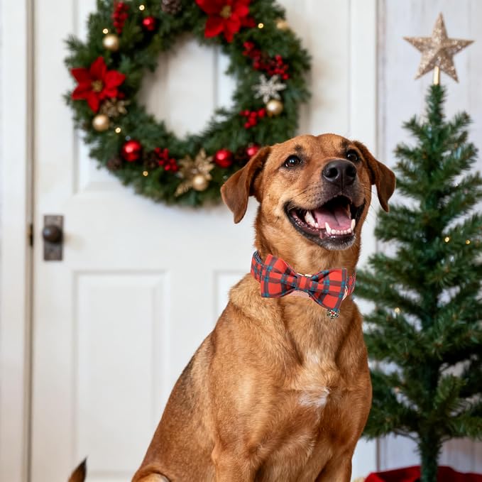 DOGWONG Christmas Dog Collar with Bow Tie, Red Green Plaid Dog Collar Durable Metal Buckle Adjustable Soft & Cute Red Checkered Dogs Collars for Small Medium Large Dogs, XS