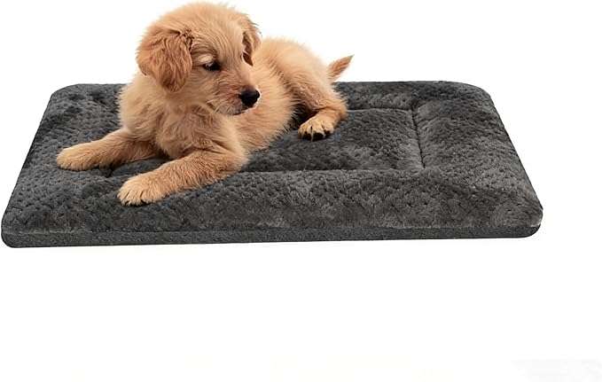 Dog Beds for Small Dogs, 22x13 Plush Washable Dark Gray Flat Pet Bed | Plush Double Sided Puppy bed, Machine Washable Small Dog Bed, Dog Bed Mats
