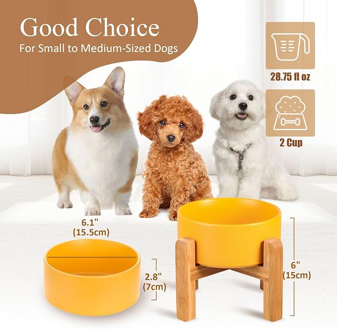 Ceramic Elevated Dog Bowl with Bamboo Stand, for Small & Medium Dog, Yellow
