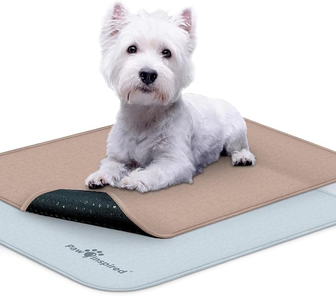 Paw Inspired Washable Crate Liners for Dogs, 24x18 Inch, 2 Pack | Fits 24 Inch Kennels, Leakproof, Non-Slip Pee Pads, Reusable Puppy Pads for Potty Training, Whelping, Waterproof Pet Mat