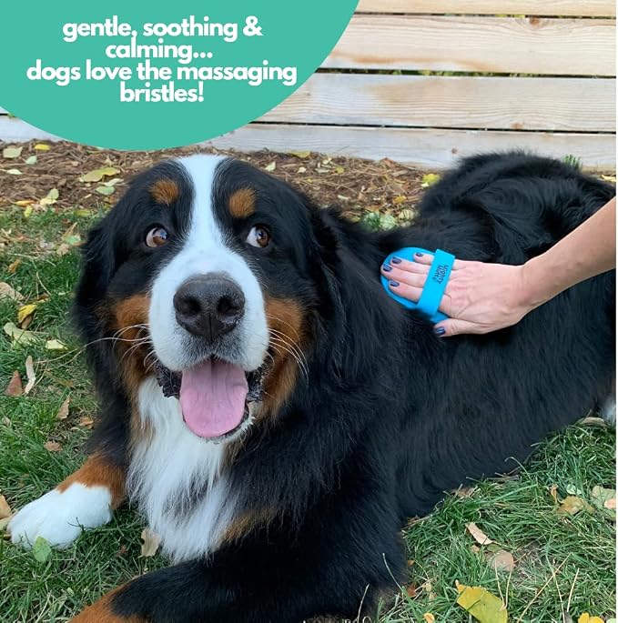 Mighty Mutt Dog Bath Brush | Massage Rubber Soft Bristle Brush for Easy Pet Grooming | Wet or Dry Dog Shampoo | Soothing, Deep Cleaning Dog Scrubber for Bath | Dogs & Cats