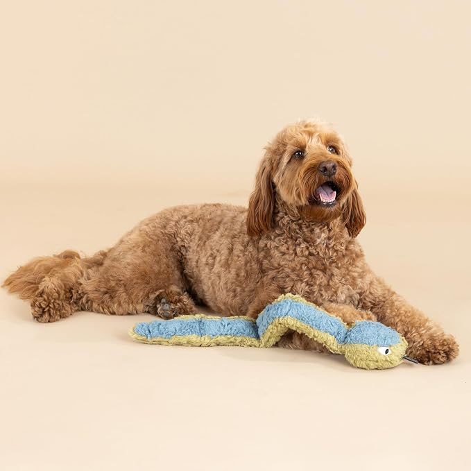 Fringe Studio Don't GET Wrapped UP 3D Earth Friendly Cotton Canvas Dog Toy, PetShop Collection (718009)