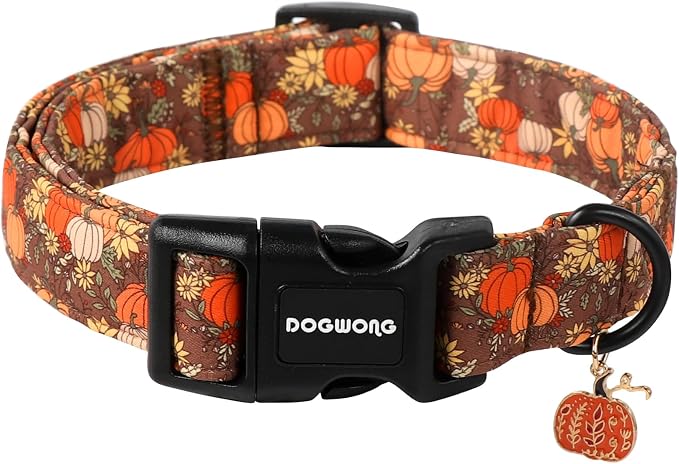 DOGWONG Fall Pumpkin Dog Collar- Design Fall Holiday Dog Collars Adjustable Halloween Pumpkin Sunflower Dog Collar for Small Medium Large Dogs L