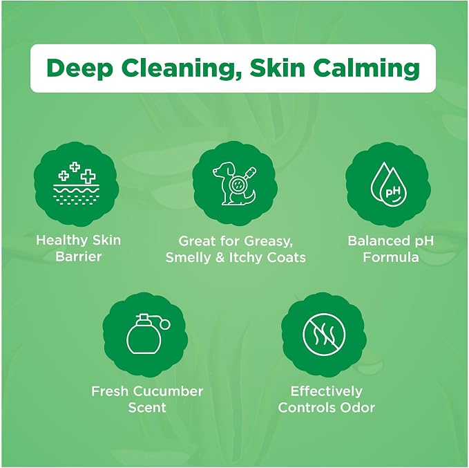 Pawfect DermaFoam Pet Shampoo Deep Cleansing for Greasy Coats & Deodorizing | A Canadian Company, Sulfate Free Moisturizing Formula with Aloe Vera & Bamboo Vinegar | Fresh Cucumber Scent 16.9 Oz