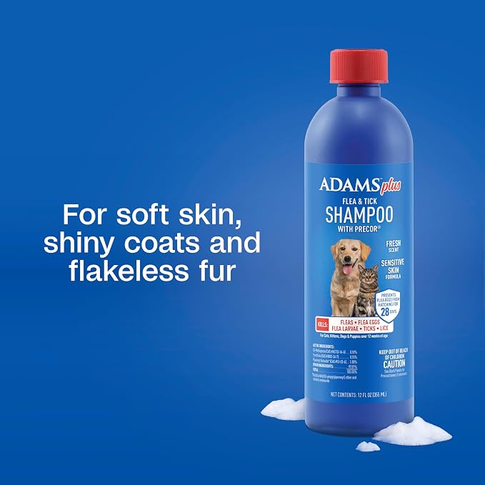 ADAMS Plus Flea & Tick Shampoo with Precor for Dogs & Cats, 12 oz | Flea shampoo for dogs and cats kills flea eggs and lice on contact, helps stop hatching for 28 days