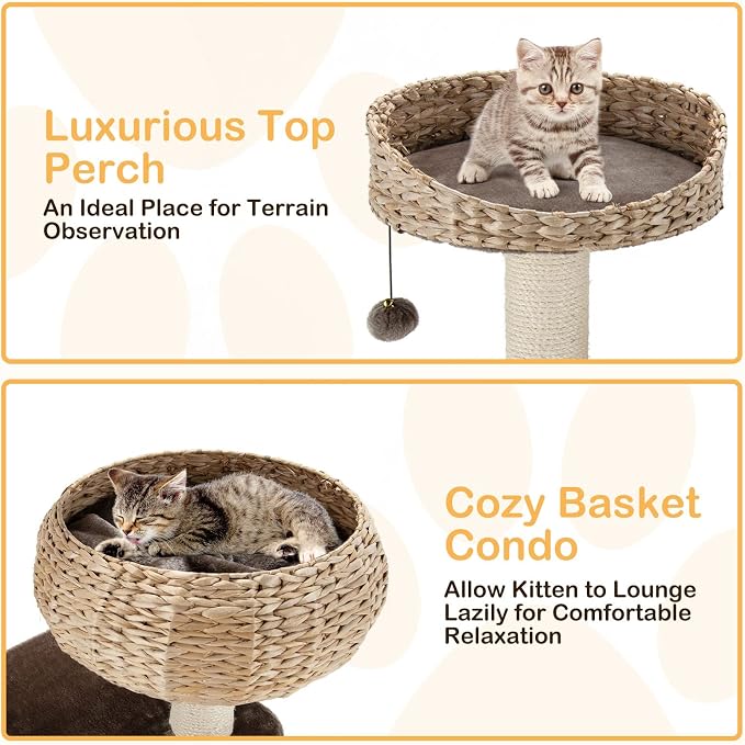 41 Inch Modern Cat Tree for Indoor Cats, Multi-Level Cat Tower with Scratching Posts, Hand-Made Wicker Cat Condo & Top Perch, Dangling Ball, Sisal Rope, Cute Cat Tree for Indoor Cats