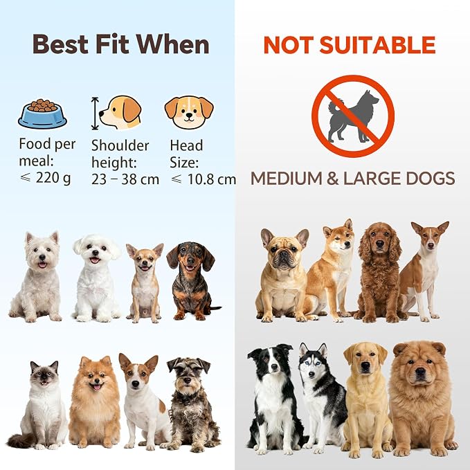 White Small Ceramic Tilted Elevated Cat Dog Bowl Raised Cat Food Water Bowl Dish Pet Comfort Feeding Bowls with Gold Iron Stand