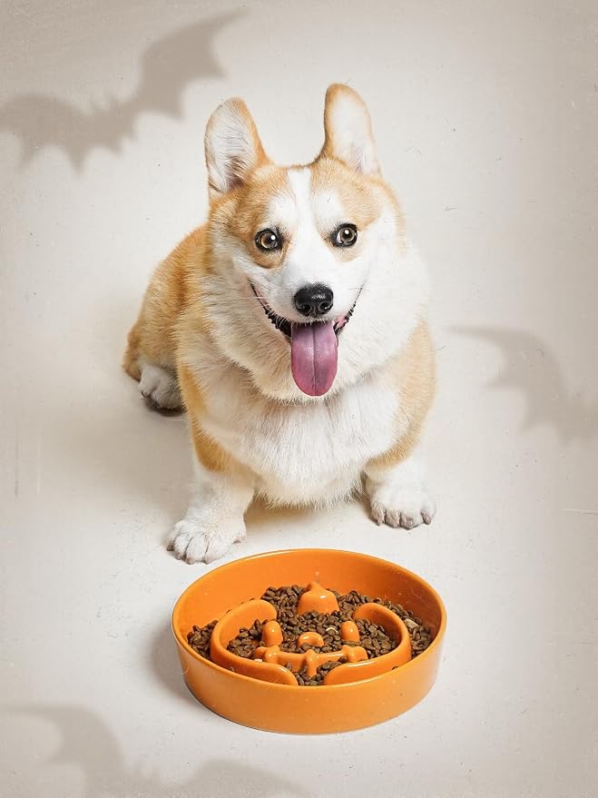 LE TAUCI Ceramic Slow Feeder Dog Bowls Small Breed, 0.6 Cups Dog Food Dish for Fast Eaters, Puzzle Bowl for Dogs and Cats,Pumpkin Orange