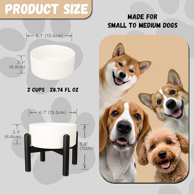 Raised Ceramic Dog Bowl, 6.1'' Modern Feeding Bowl with Non-Slip Stainless Steel Stand, Elevated Food or Water Dish for Small to Medium Dogs, 2 Cups (28.75 fl oz) - White