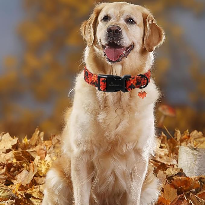 ARING PET Fall Dog Collar, Cute Autumn Orange Maple Leaf Pet Collars for Puppy Small Medium Large Girl Boy Dogs-S Size