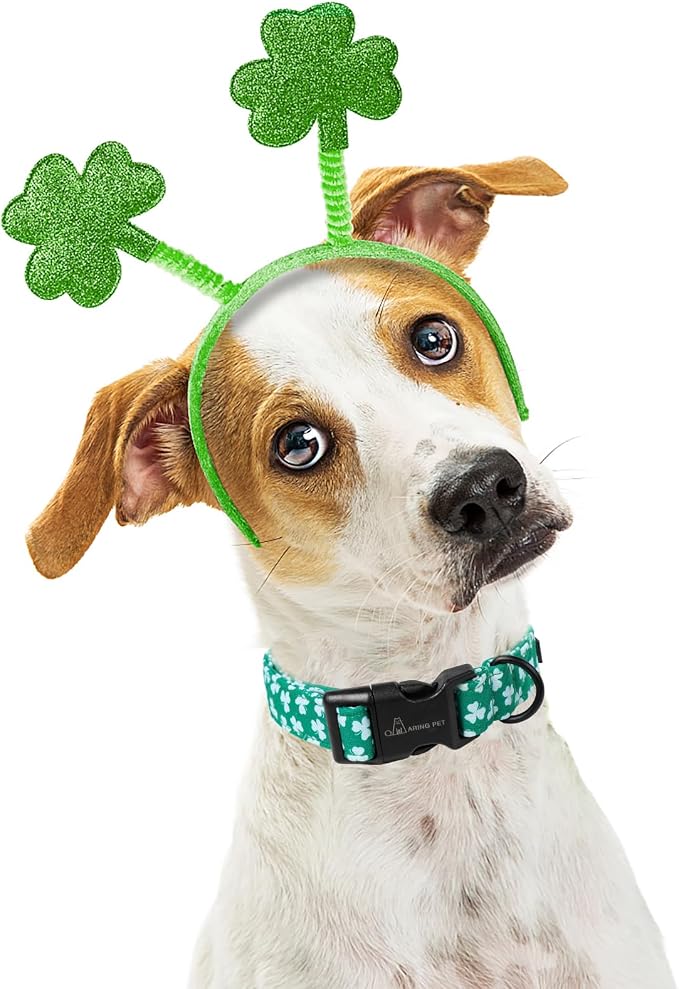 ARING PET St Patricks Dog Collar, Cute Green Clovers Pet Collars with Quick Release Buckle for Puppy Small Medium Large Boy Girl Dogs-XS