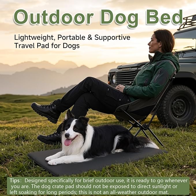 Outdoor XXL Dog Crate Pad Bed, Waterproof Wipeable Mat, 47x29, Black | Wipeable Kennel Mat Pet Sleeping for Large Dogs, Waterproof, Outdoor, Anti-Slip, Suit for Travel, Trunk, Kennel