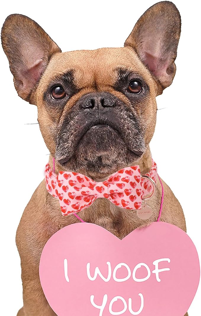 DOGWONG Valentine's Dog Collar with Bow - Cute Heart Bowtie Dog Collars, Adjustable Valentine Red Heart Pet Collars Design Dog Collar with Quick Release Buckle for Puppy Girl Boy Female Dogs
