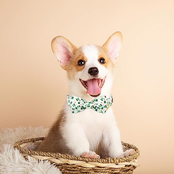 ·MR. CHUBBYFACE· St.Patrick's Clover Dog Collar with Bowtie, Green Clovers Shamrock Pattern Metal Buckle Dog Collar Adjustable Shamrock Collar for Small Medium Large Dogs