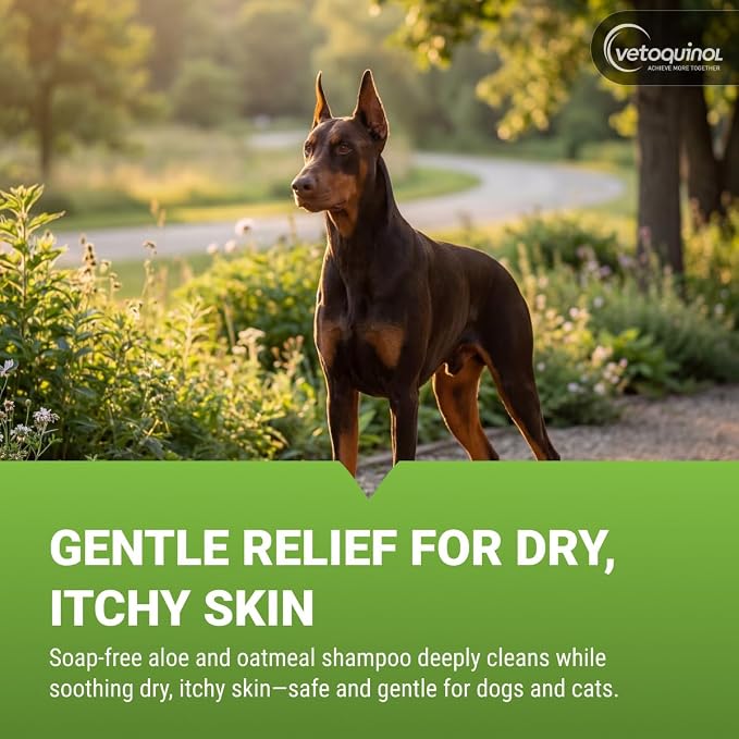 Vetoquinol Aloe & Oatmeal Shampoo - Gentle & Moisturizing Formula for Dogs & Cats - Pet Shampoo for Deep Cleansing - Paraben-Free Coat Care for All Skin Types - 16oz