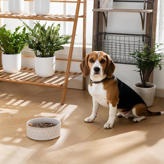 MALACASA Ceramic Dog Food Bowl, Water Dish for Medium Breeds, 3.5 Cups | Five-Leaf Grass Pattern, Ceramic Pet Bowl, Food and Water Dish, Dishwasher and Microwave Safe, for Medium Dogs