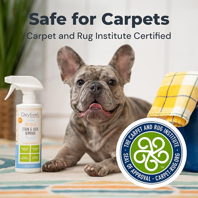Oxyfresh Premium Strong Dog and Cat Stain Remover & Odor Eliminator | Extra Strong Odor Eliminator – Carpet Stain Remover for Cats & Dog Pee – Urine Destroyer – Removes Carpet Stains on First Try
