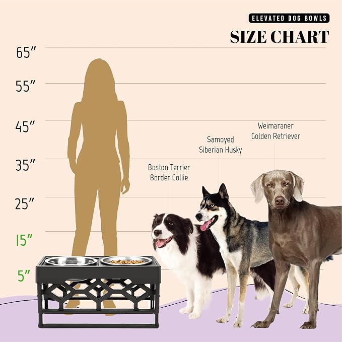 AVERYDAY Elevated Dog Bowls, 4 Height Adjustable Stand for Medium and Large Dogs, Raised Dog Feeder Holder with 2 Stainless Steel Food and Water Bowls, Anti-Slip Base Tall Feeding Station