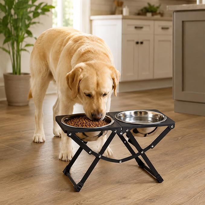Foldable Elevated Dog Bowl Holder with 2 Large 85oz Stainless Steel Bowls, 12" Tall Raised Dog Bowl Stand for Large Breeds, Indoor and Outdoor Use