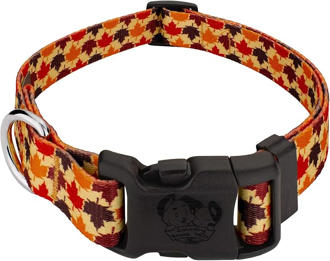 Country Brook Petz - Nature Walk Everyday Dog Collar Limited Edition - Made in The U.S.A. - Awesome Autumn Collection Featuring Design You Will Fall for (1 Inch, Extra Large)