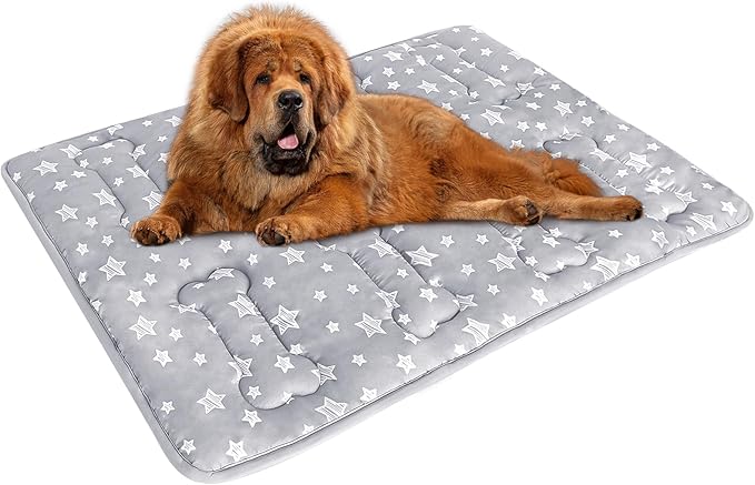 Dog Crate Pad Mat (48" X 30"), Soft Dog Bed Mat with Cute Prints | Personalized Crate Pad, Anti-Slip Bottom, Machine Washable Kennel Pad