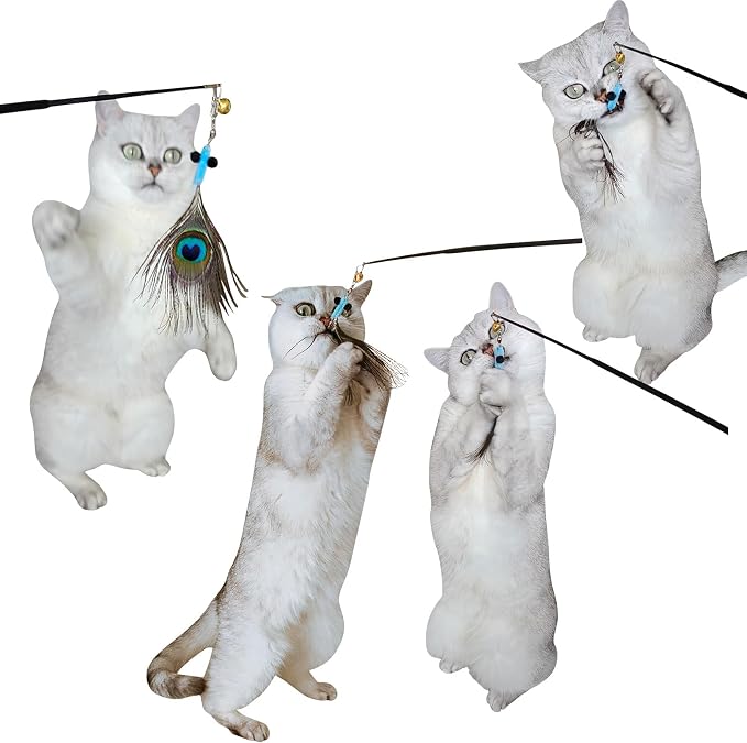 miwoowim Interactive Cat Toys - 10 PCS Cat Retractable Wand Toy and Feather Toys Refills, Enrichment Toys for Indoor Cats,Kitty Toys on a Stick,Kitten Toy Small Feather Insects