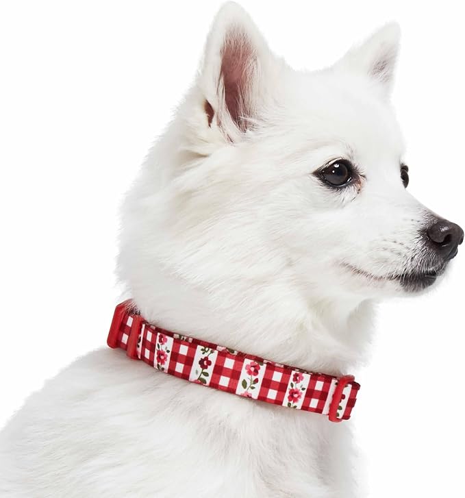 Blueberry Pet Spring Scent Inspired Dainty Flower Dog Collar, Red Check, Adjustable Dog Collar for Medium Dogs, Size Medium, Neck 14.5-20"