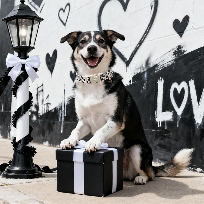 DOGWONG Valentine's Day Dog Collar-Cute Black Heart Dog Collars, Adjustable Valentine Heart Pet Collars Puppy Collar with Quick Release Buckle for Girl&Boy Dogs,S