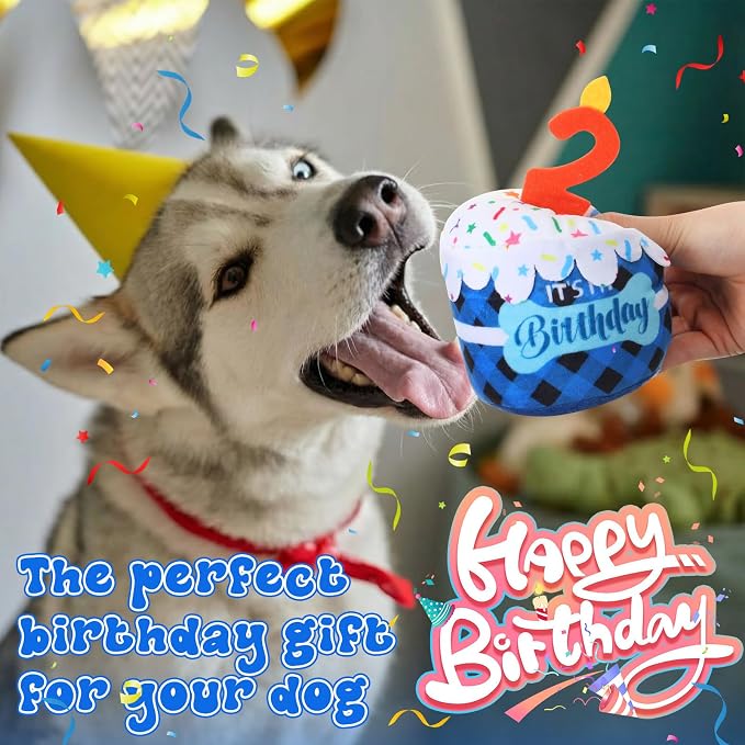 Dansydaisy Dog Birthday Cake Toy Squeaky Plush Toy for Girl Boy Gifts, Chew Accessories for Dog Birthday Party Decor Favor for Large, Medium and Small Dogs(2nd,Blue Grid)