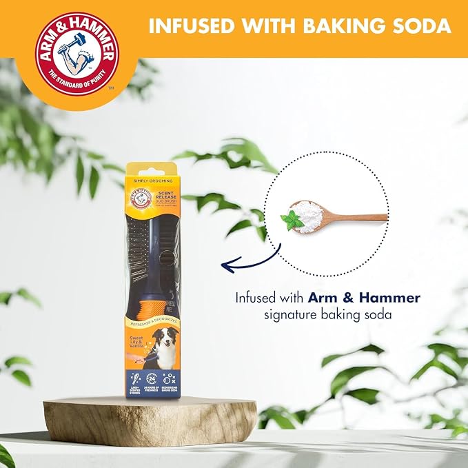 Arm & Hammer Deodorizing Pin & Bristle Dog Brush, Lily & Vanilla, 2-Pack | Fragrance transfer technology, baking soda infused, detangling and deshedding, for long-haired dogs daily