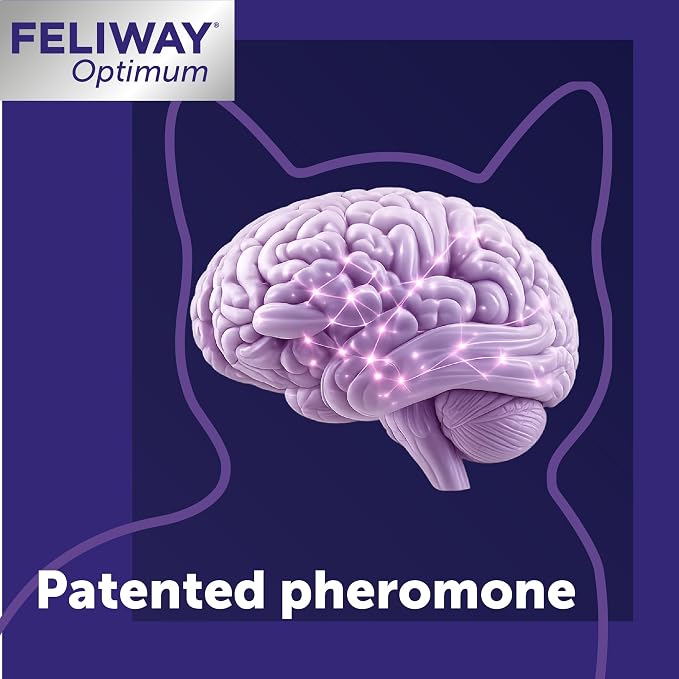 FELIWAY Optimum Cat Calming Pheromone Diffuser Refill - 6 Pack | Advanced Support to Help Reduce Urine Spraying, Scratching, Fighting & Hiding Due to Stress, 180 Day Supply