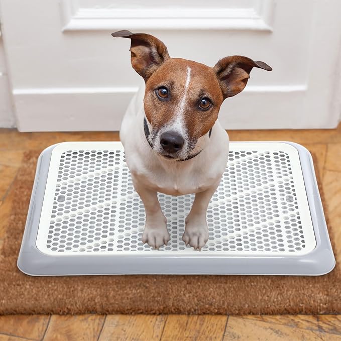 Mifoci 1 Pcs Dog Potty Tray Mesh Puppy Training Pad Holder Floor Protection Portable Pee Pad Pet Toilet Training Tray Litter Box Corner for Medium and Large Dogs (19.7 x 14.2 Inch,Gray)