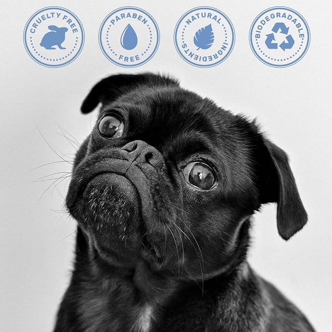 OLIVER'S CHOICE Dog Shampoo with Oatmeal, Aloe & Shea Butter – Deodorizing Puppy Shampoo for Smelly Dogs, Itchy Skin Relief, Paraben-Free, Biodegradable, Cruelty Free – 14 fl. oz | Sensitive skin care, Itch relief, Deodorizing, Aloe, Shea butter, Soft ...