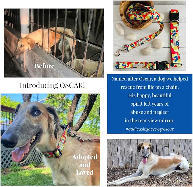 Lucky Love Dog - Adjustable Dog Collar and Leash Set with Easy Click Buckle for Large Dogs, Durable, & Comfortable Collar for Male & Female Dogs, Puppies & Adult Ones - Oscar Combo, Large