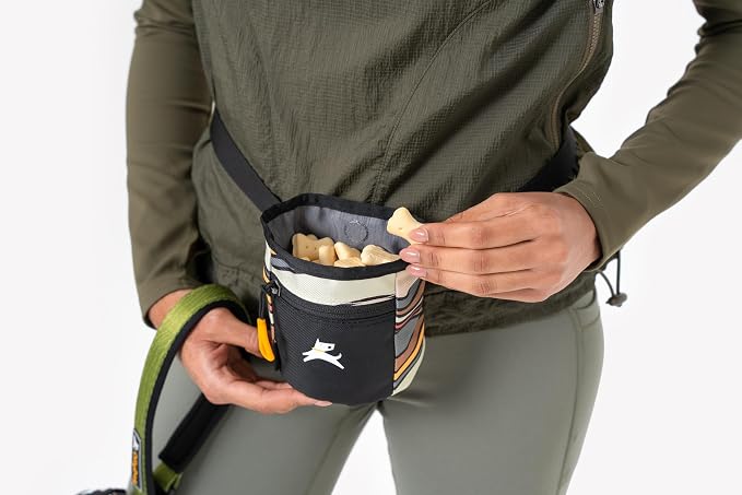 Goodie Treat Bag, Dog Treat Training Pouch | Magnetic Closure | 3 Ways to Wear | Hands-Free Waist Belt | Water-Resistant Recycled Vegan Fabric (Ventura '73)