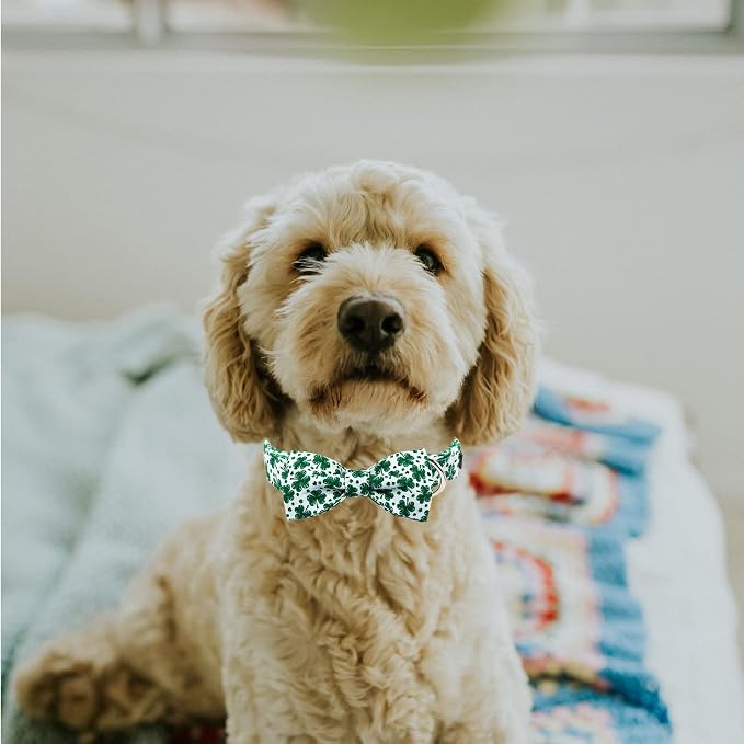 ·MR. CHUBBYFACE· St.Patrick's Day Dog Collar Green Clovers Adjustable Dog Collar Bow Tie for Small Medium Large Dogs