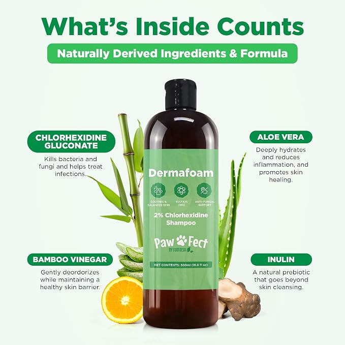Pawfect DermaFoam Pet Shampoo Deep Cleansing for Greasy Coats & Deodorizing | A Canadian Company, Sulfate Free Moisturizing Formula with Aloe Vera & Bamboo Vinegar | Fresh Cucumber Scent 16.9 Oz