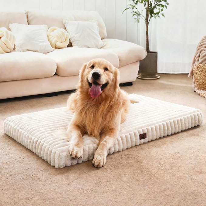 Orthopedic Dog Bed Medium Size Dog, Pet Beds with Waterproof Lining, Soft Short Plush Surface & Egg Crate Foam, Machine Washable Pet Mat with Removable Cover & Anti Slip Bottom