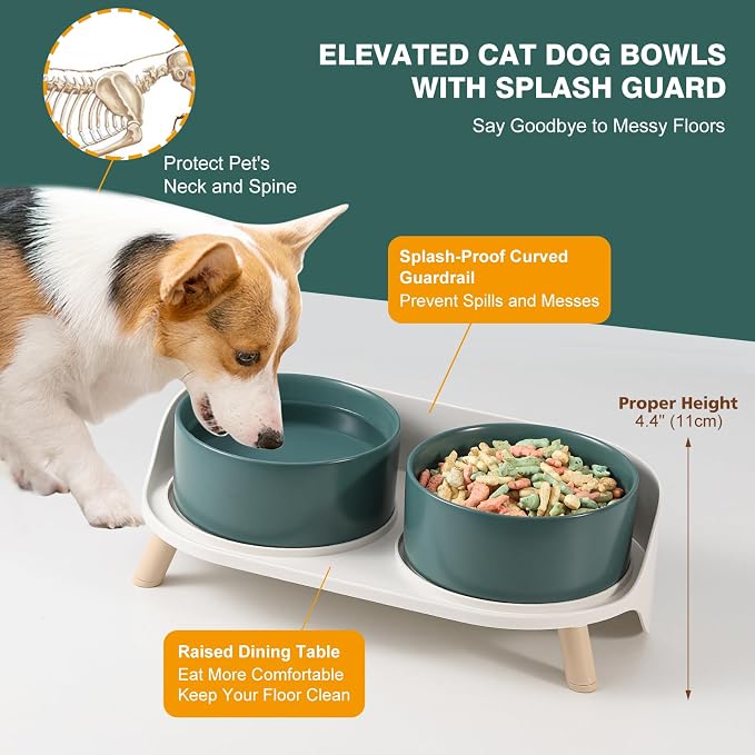 Elevated Ceramic Dog Bowl Set - Double Dog Feeding Bowls with Stand Splash Proof - Raised Dishes for Food and Water - Ideal for Small to Medium Dogs - 2 x 720 ml - 11.3 oz - Green