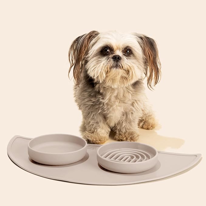 Should We Go? Slow Feeder Dog Bowls - Small Size Silicone Slow Eating Dog Bowl for Puppies & Dogs with Suction Cup -Dishwasher-Safe, Lick Mat Design, Reduces Gulping, for All Breeds, 6”x1.25”- Tan
