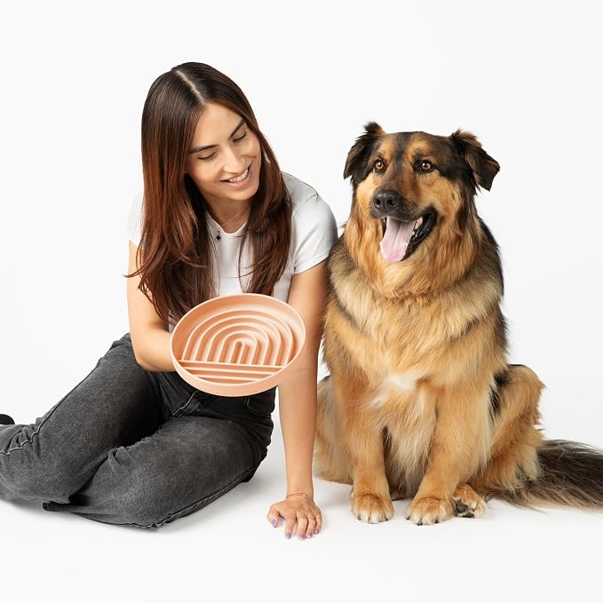 Should We Go? Slow Feeder Dog Bowls - Large Size Silicone Slow Eating Dog Bowl for Puppies & Dogs with Suction Cup -Dishwasher-Safe, Lick Mat Design, Reduces Gulping,for All Breeds,9.5”x1.5”- Blush