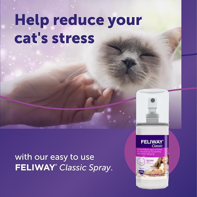 FELIWAY Classic Cat Calming Spray, 60ml | Comforts Cats at Home and On the Go and Helps to Calm During Travel