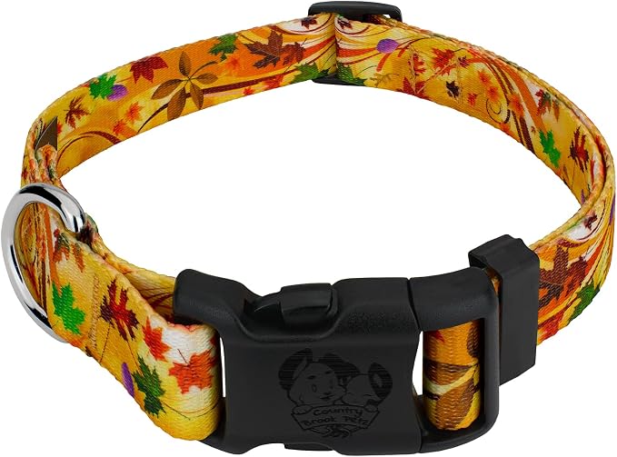 Country Brook Petz - Autumn Wind Everyday Dog Collar - Made in the U.S.A. - Awesome Autumn Collection Featuring Design You Will Fall for (1 Inch, Large)
