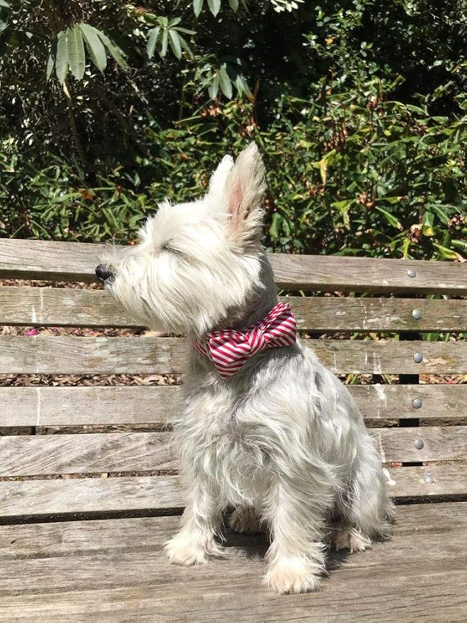 Lionet Paws Christmas Dog Collar with Bowtie Durable Adjustable Handmade Comfortable Bow Tie Dog Collar Cat Collar with Metal Buckle for XL Dogs,Party,Festival,Holiday Style,Neck 16-26in