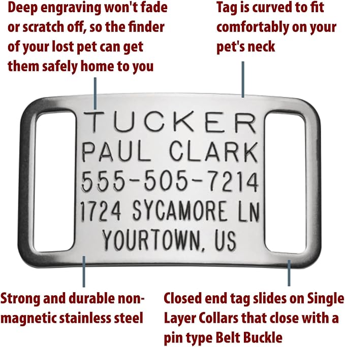 Dog Tags Personalized for Pets - Boomerang Tags, Engraved Quiet Custom ID, Slide-on Curved Stainless Steel Dog Name Tag (Closed End Medium for 3/4 Inch Wide Nylon Collars with Belt Buckle)